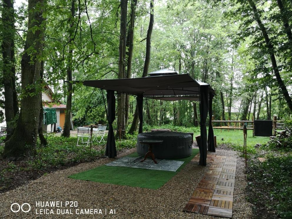 Gites Du Bois Des Perruches Saint-Vincent-des-Bois Exterior foto
